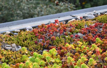 the cost of West Clyne green roof installation