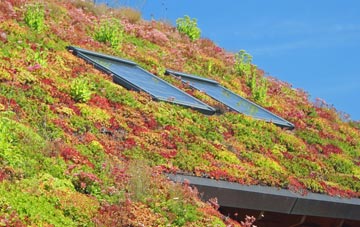 West Clyne living roof systems
