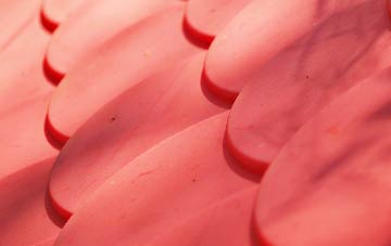 West Clyne plastic roof costs