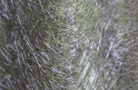 West Clyne fibreglass roof work